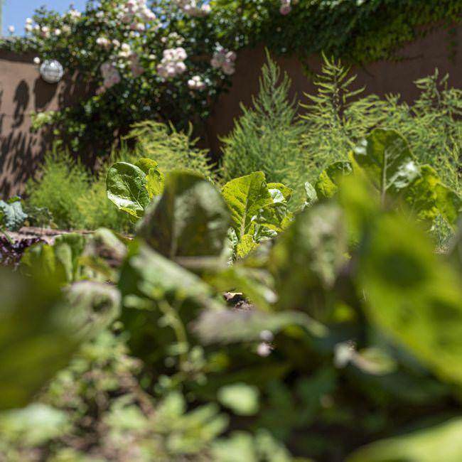 organic farm spain