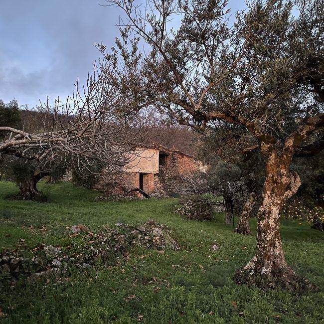 finca ecológica